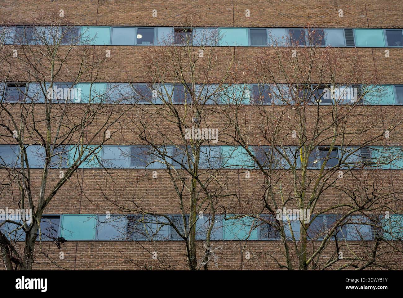 Zusammenfassung eines modernen mehrstöckigen Wohngebäudes mit Bäumen im Vordergrund im Stadtzentrum von Southampton, Hampshire, England, Großbritannien Stockfoto