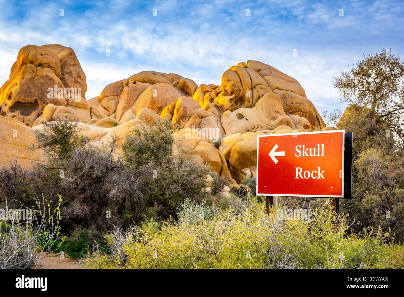 Das Schild markiert den Skull Rock Trail im Joshua Tree National Park Kalifornien Stockfoto