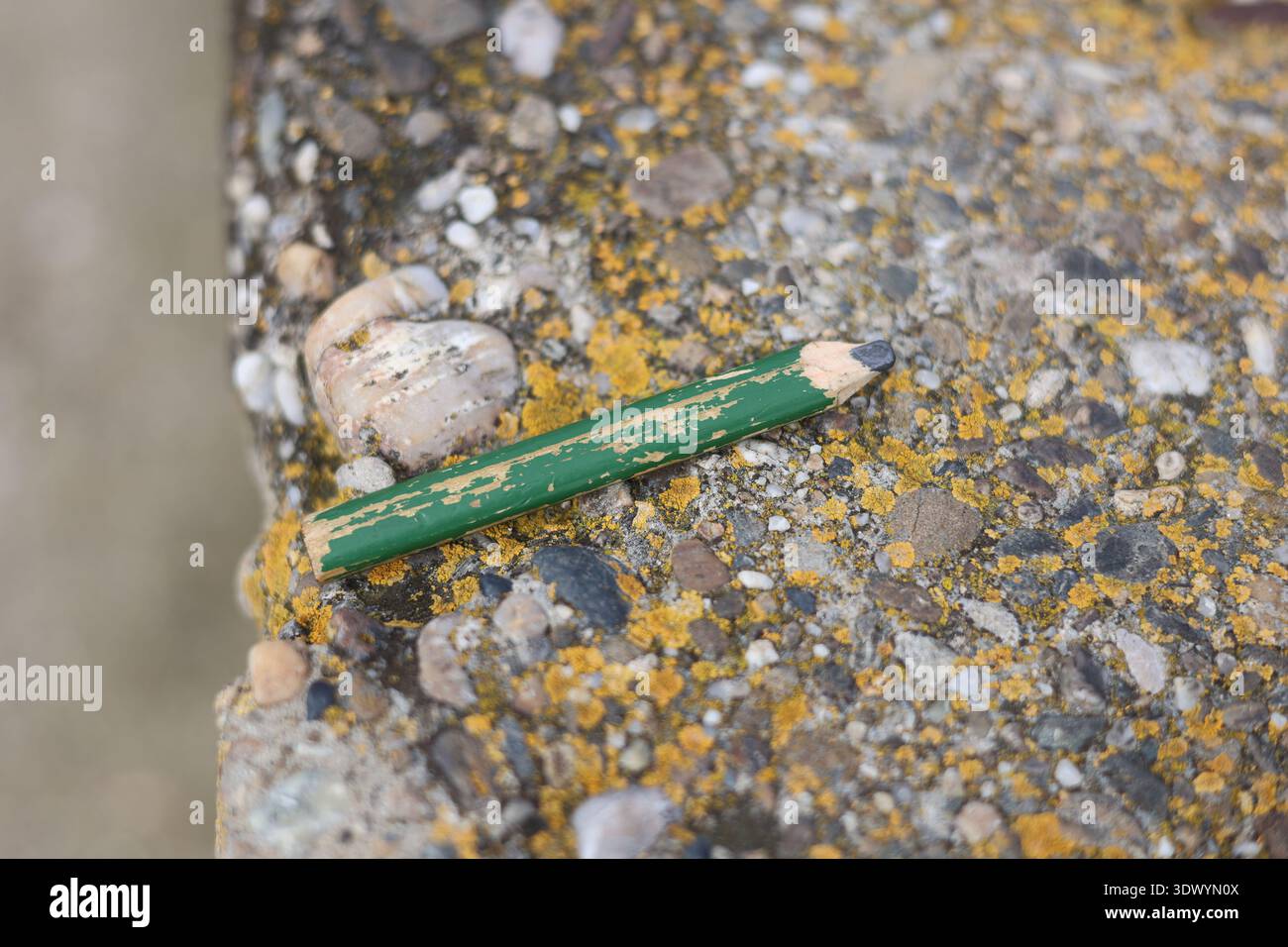 Altes gebrauchtes Schreinerstift-Werkzeug Stockfoto