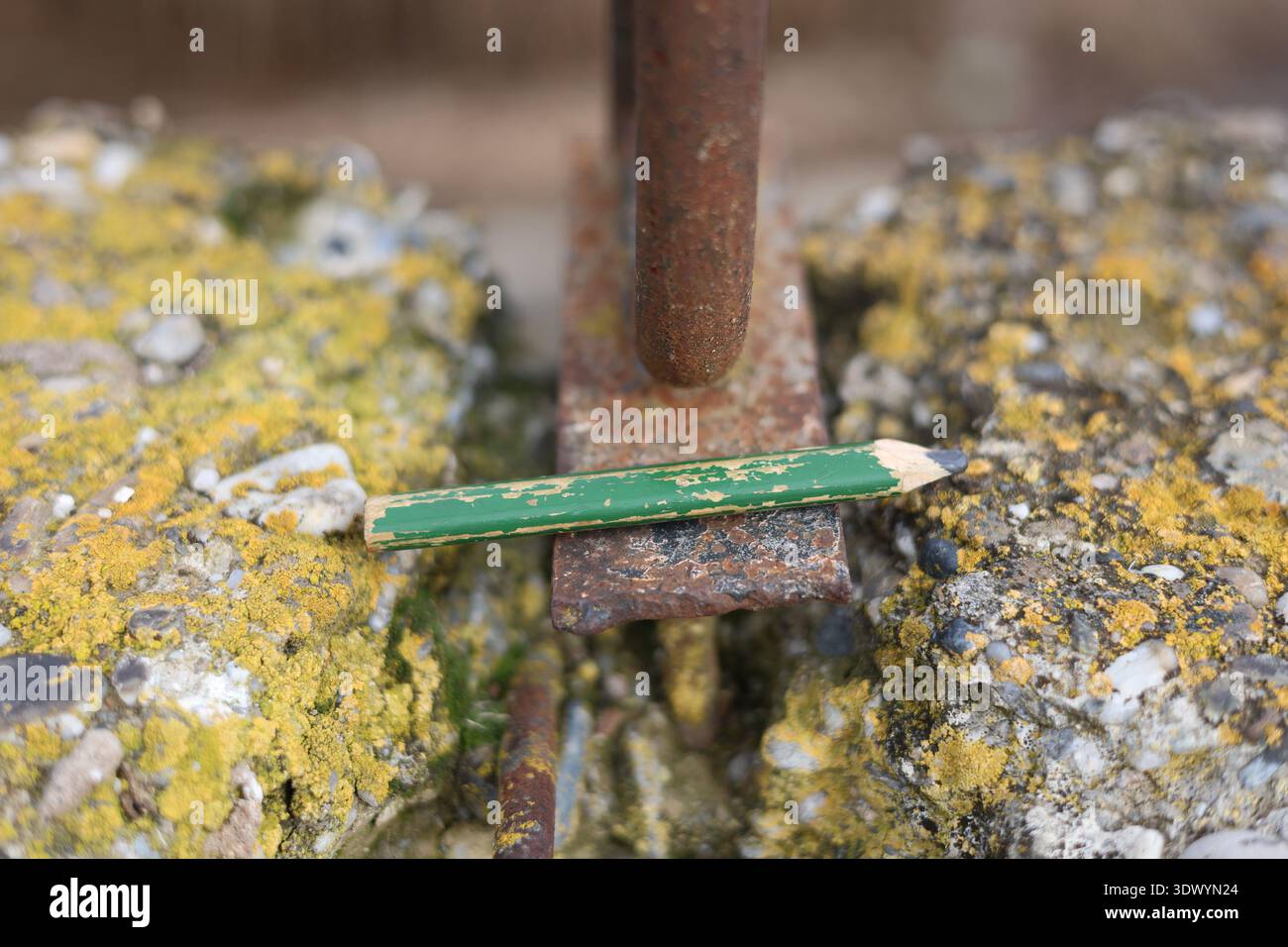 Altes gebrauchtes Schreinerstift-Werkzeug Stockfoto