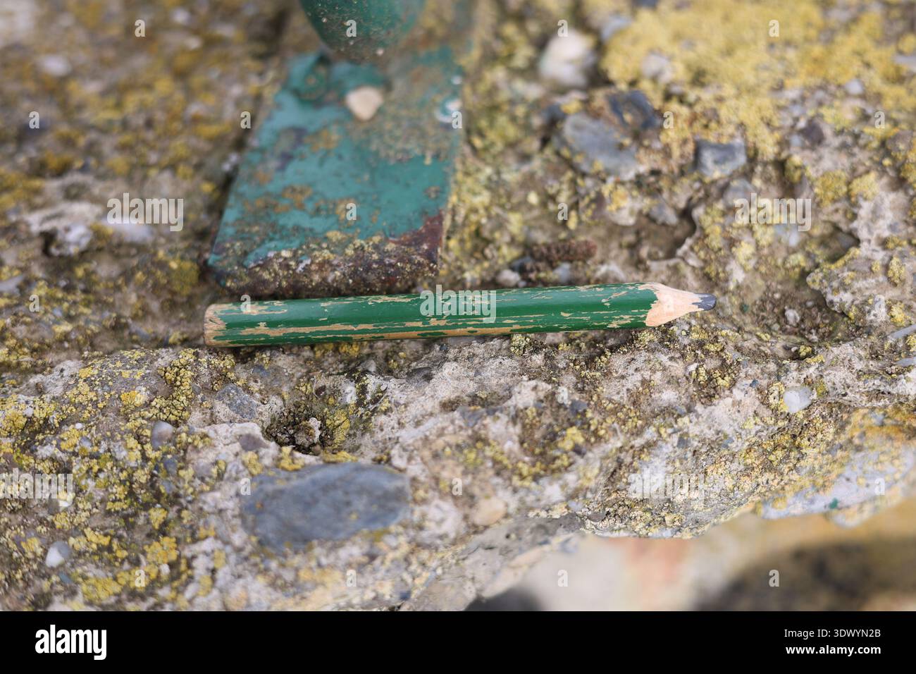 Altes gebrauchtes Schreinerstift-Werkzeug Stockfoto