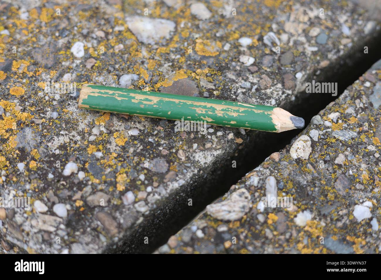 Altes gebrauchtes Schreinerstift-Werkzeug Stockfoto