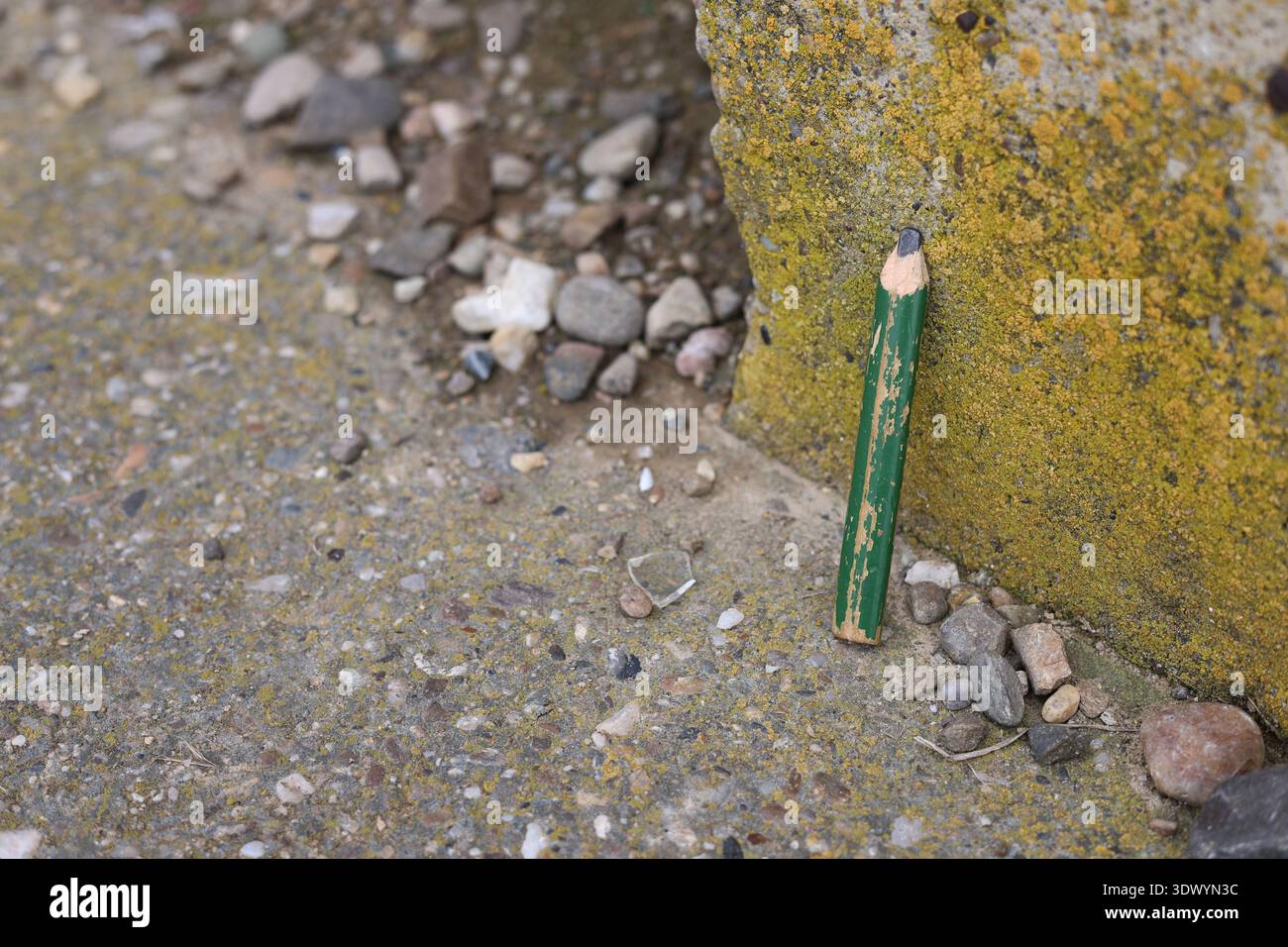 Altes gebrauchtes Schreinerstift-Werkzeug Stockfoto