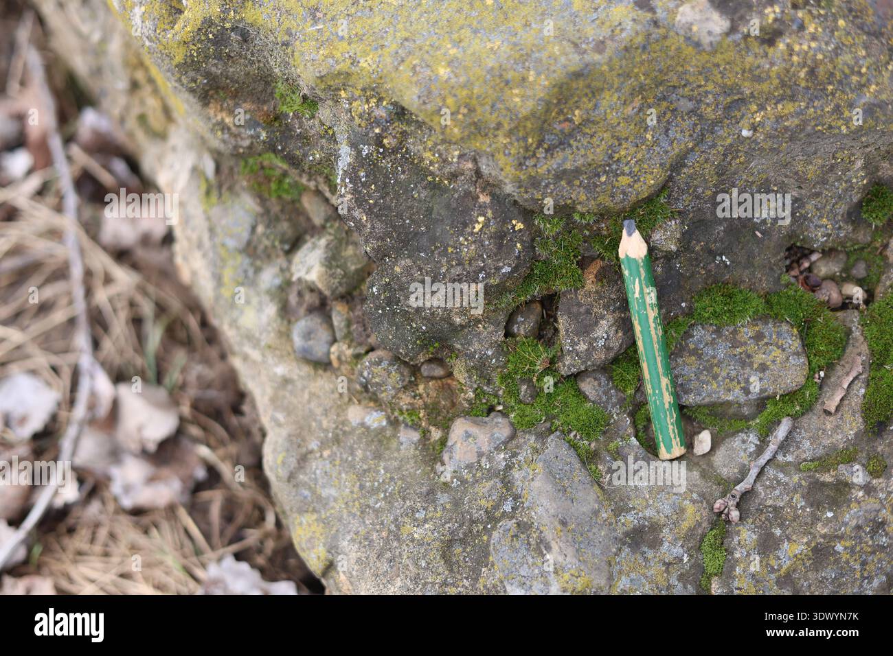 Altes gebrauchtes Schreinerstift-Werkzeug Stockfoto