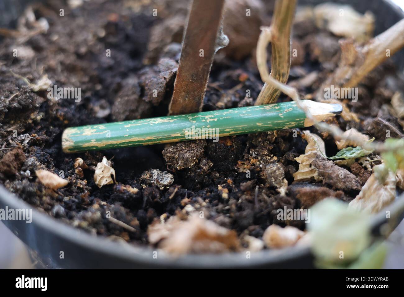 Altes gebrauchtes Schreinerstift-Werkzeug Stockfoto