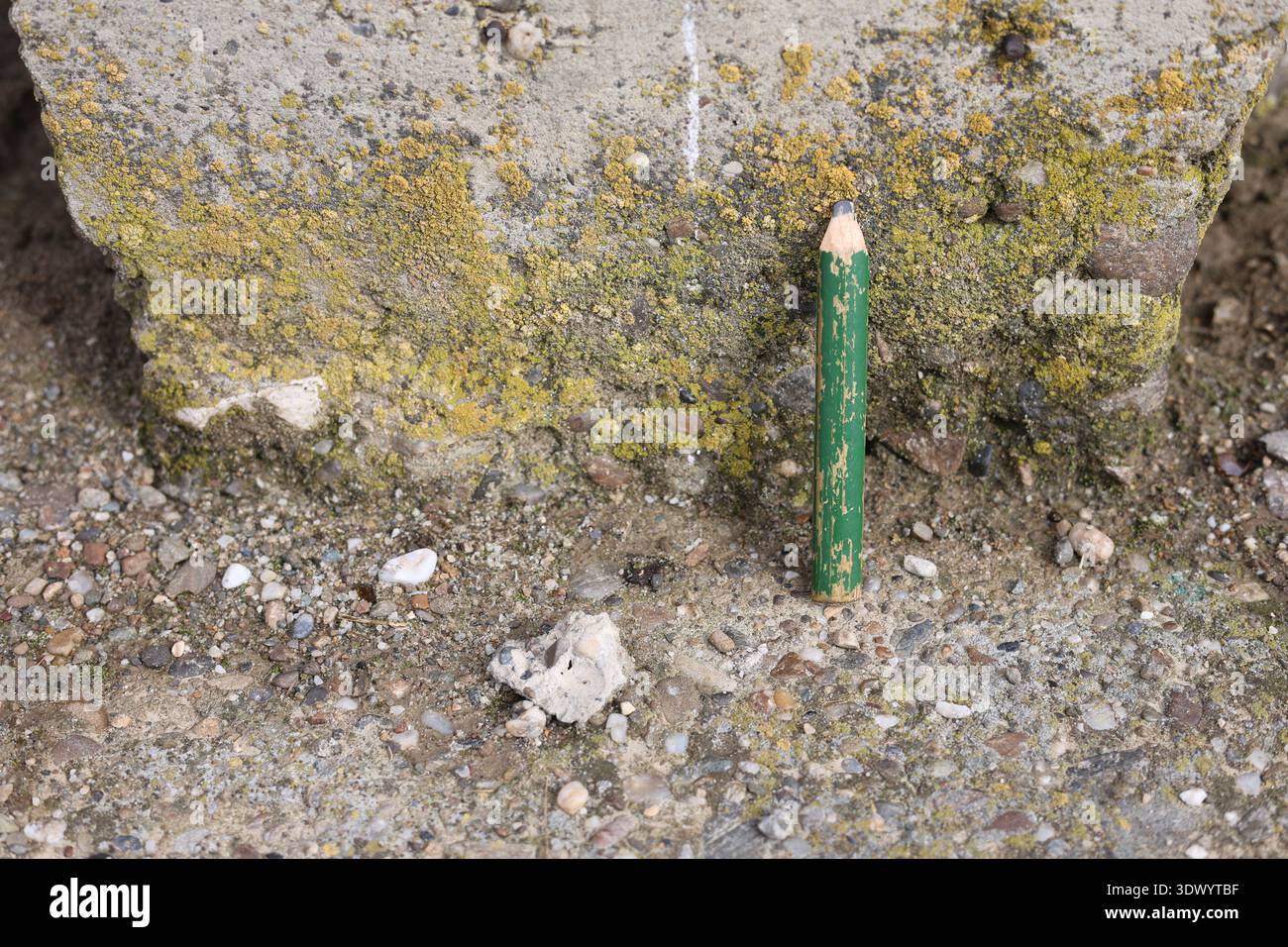 Altes gebrauchtes Schreinerstift-Werkzeug Stockfoto