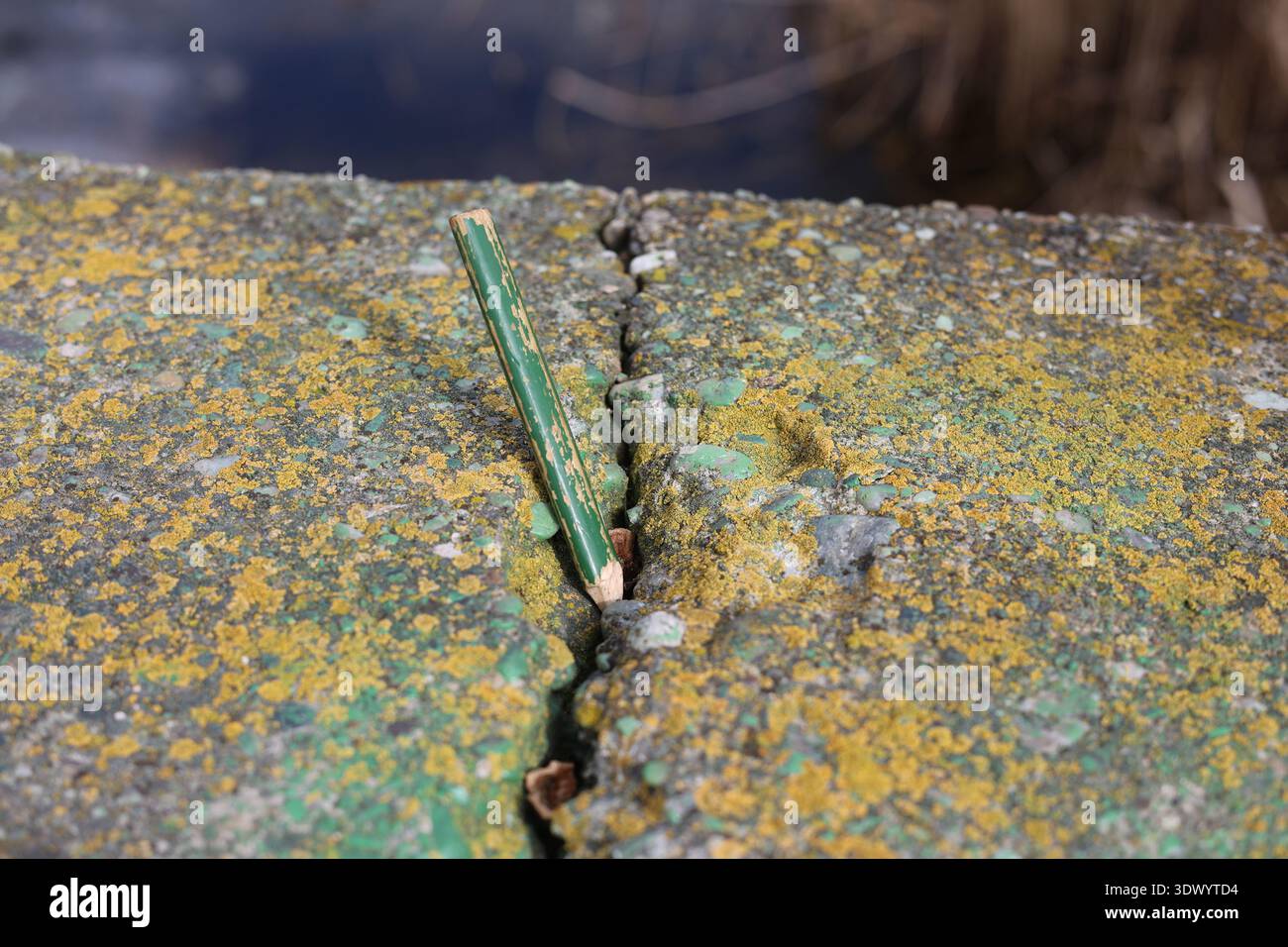 Altes gebrauchtes Schreinerstift-Werkzeug Stockfoto