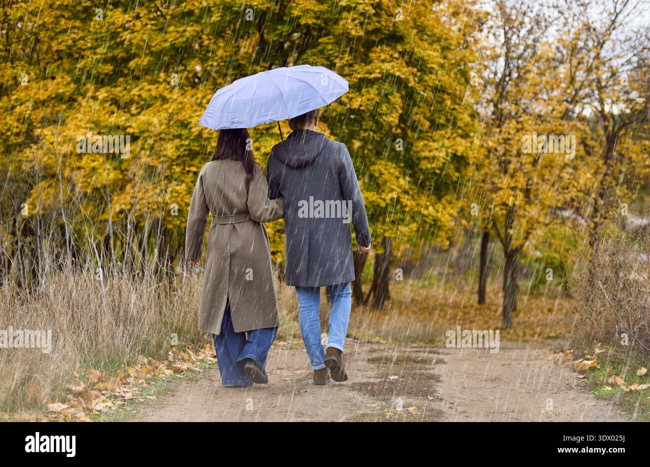 Regnerischer Herbstpark mit Paaren, die unter einem Sonnenschirm spazieren gehen, intimer Spaziergang zusammen Stockfoto