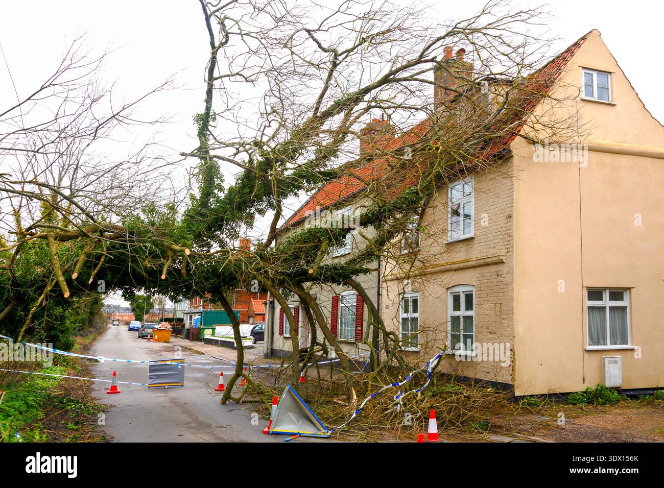 Umgestürzter Baum auf dem Haus. Stockfoto