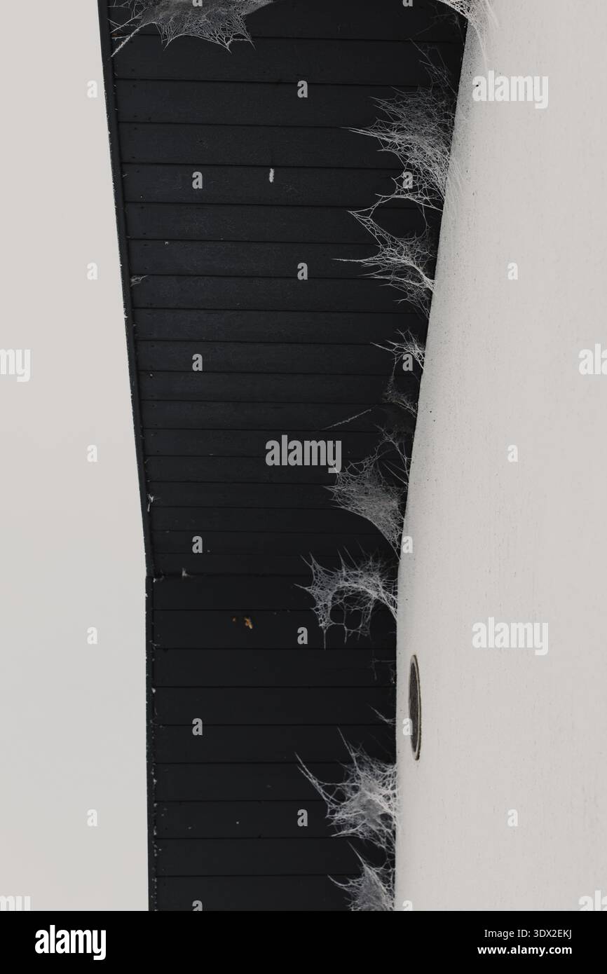 Nahaufnahme von zarten mattierten Spinnennetzen, die im Winter an einer dunklen Holzwand haften. Minimalistische architektonische Details mit starkem Kontrast und Kopierraum Stockfoto