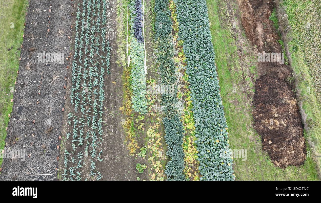 Getrockneter kuhdung -Fotos und -Bildmaterial in hoher Auflsung  Alamy