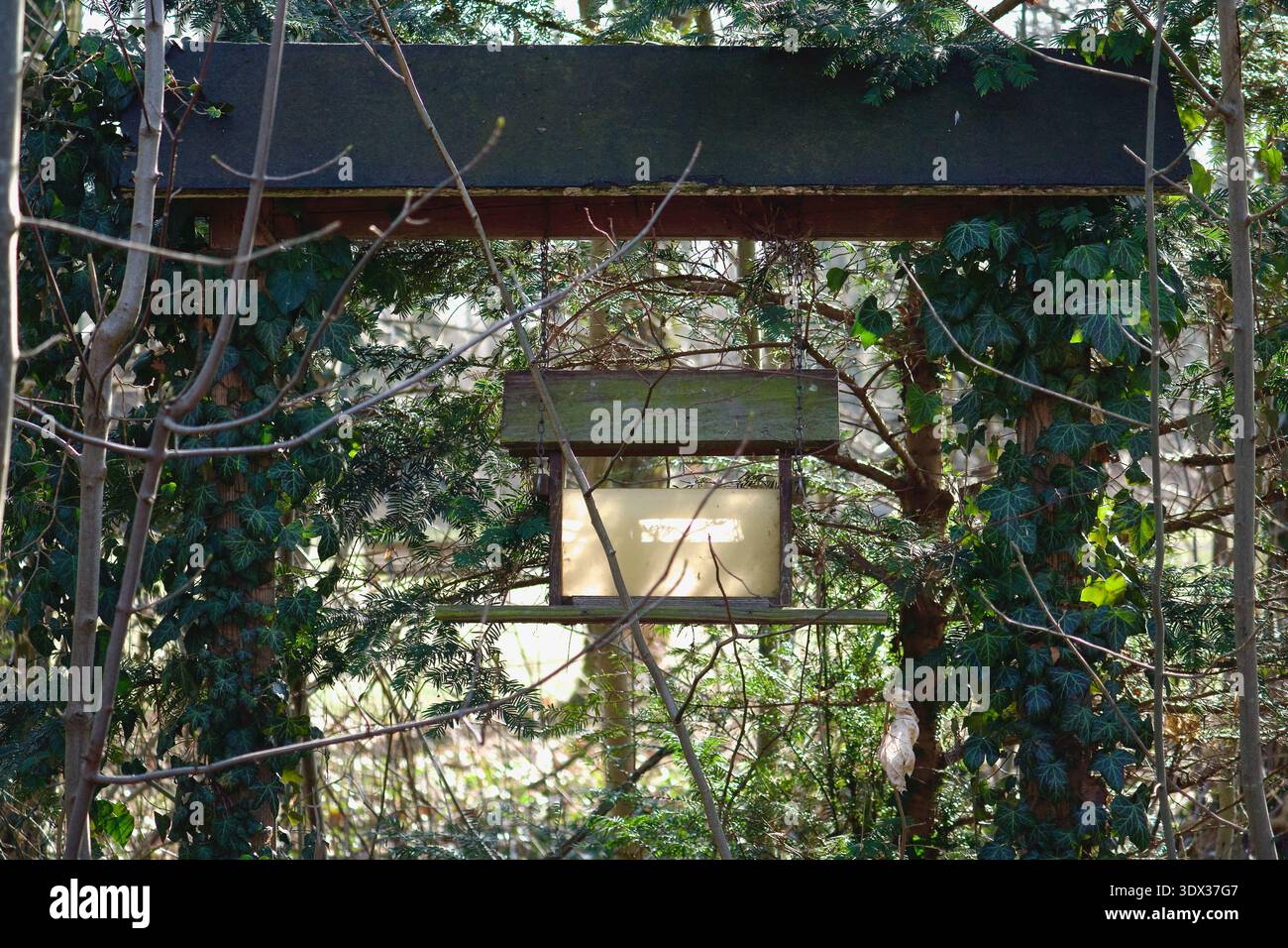 Vogelfutter aus Holz hängt in einem Frühlingsgarten, umgeben von Grün Stockfoto