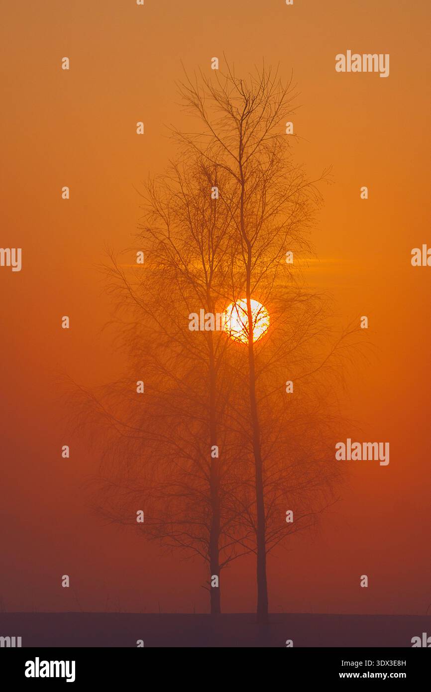 Kalter Winter in Europa .Nebelsonnige litauische Landschaft. Nebliger Nebel Stockfoto