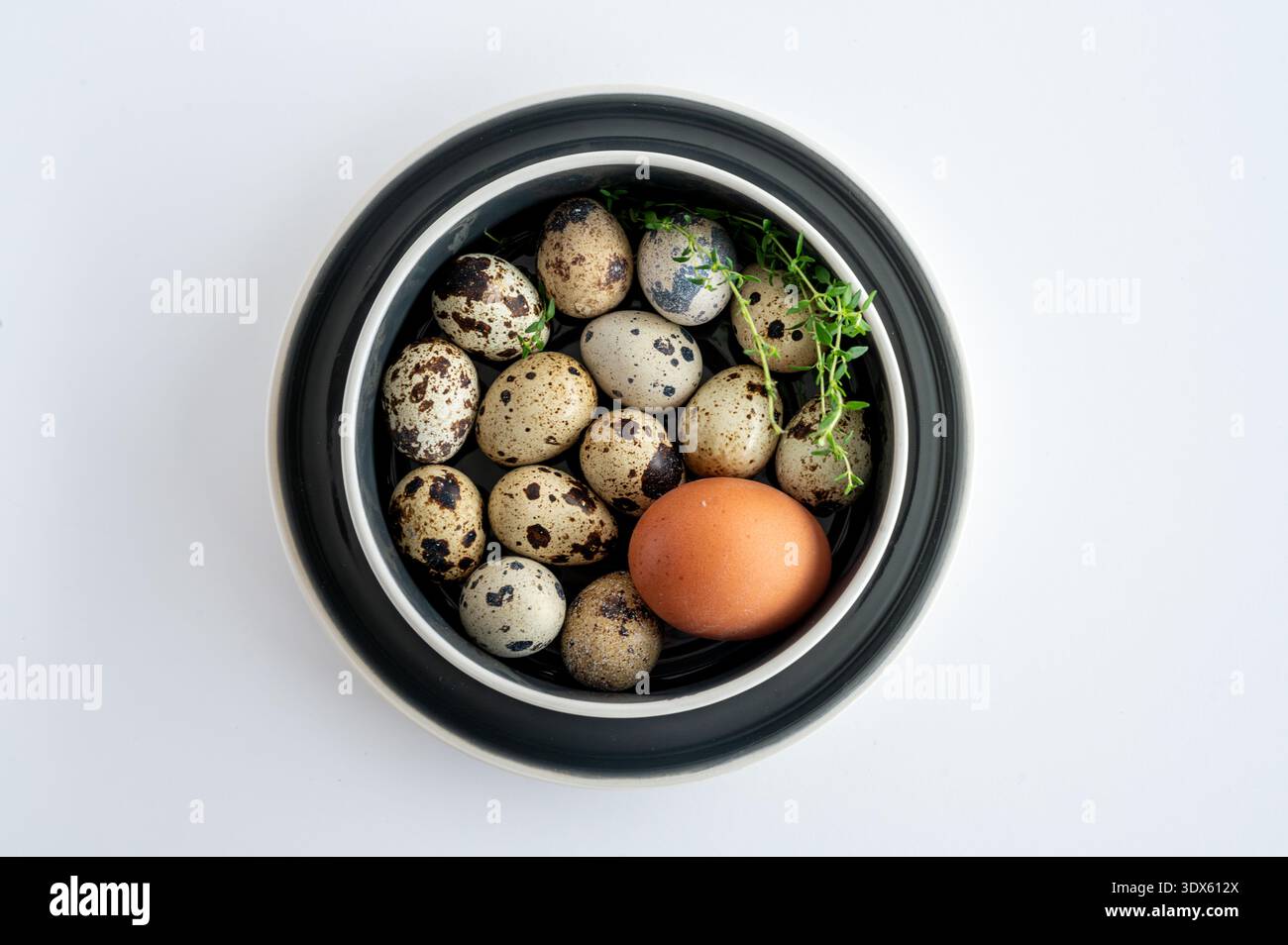 Natürliche Wachteln und Hühnereier in modernen Gerichten. Stockfoto