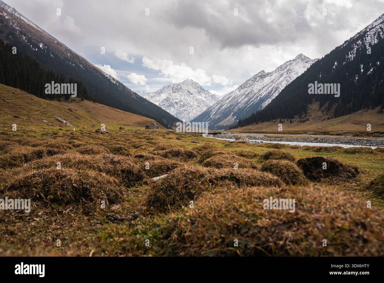 Schneebedeckte Bergkette, die sich über dem Alpental in Kirgisistan erhebt, mit Fluss, Kiefernwald und dramatischem bewölktem Himmel. Abgelegene Hochlandlandschaft. Stockfoto