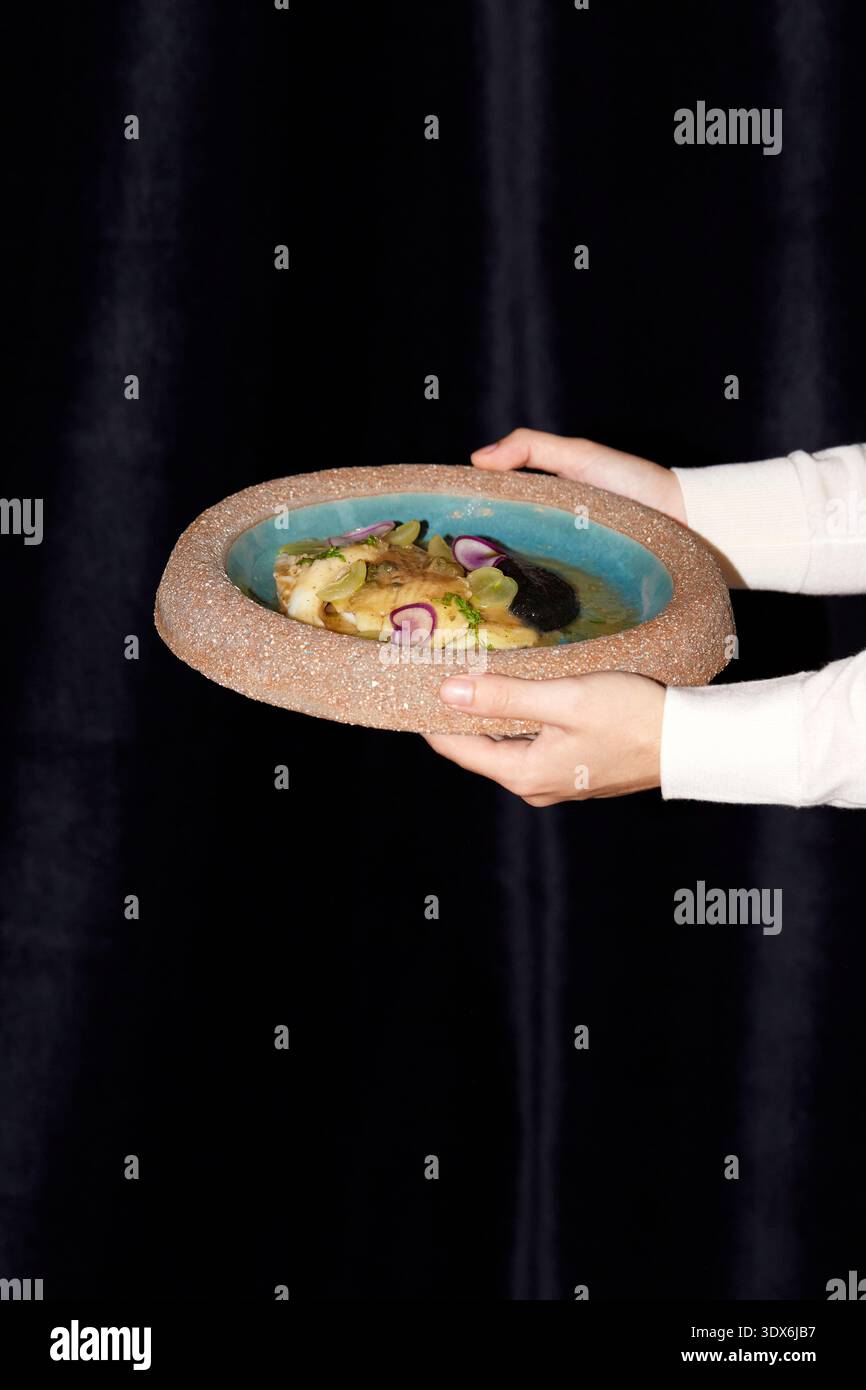 Eine Person hält elegant ein rustikales Keramikgericht und präsentiert ein Gourmet-Menü mit frischen Garnituren. Die kunstvolle Verzierung spiegelt die feine Küche in einem Stockfoto