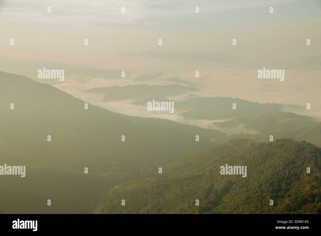 Berglandschaft. Nebeliger Morgen. Blick aus einem hohen Winkel auf Bäume im Wald bei Nebel. Wunderschöne Natur mit Bergen und Wolken bei Sonnenaufgang Stockfoto