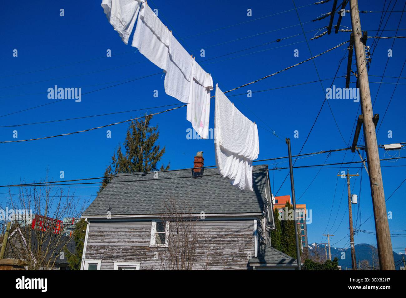 Wäschetrocknung auf einer Wäscheleine in Strathcona, East Vancouver, BC. Stockfoto