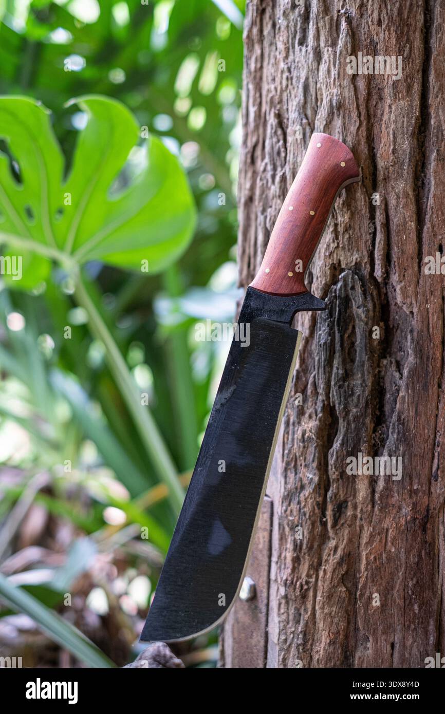Ein Machetenmesser auf einem Baumstamm, handgefertigt in Thailand Stockfoto