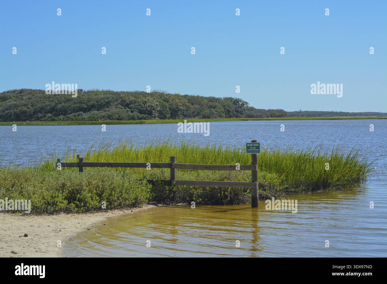 Marine Sanctuary in St. Johns County, Florida Stockfoto