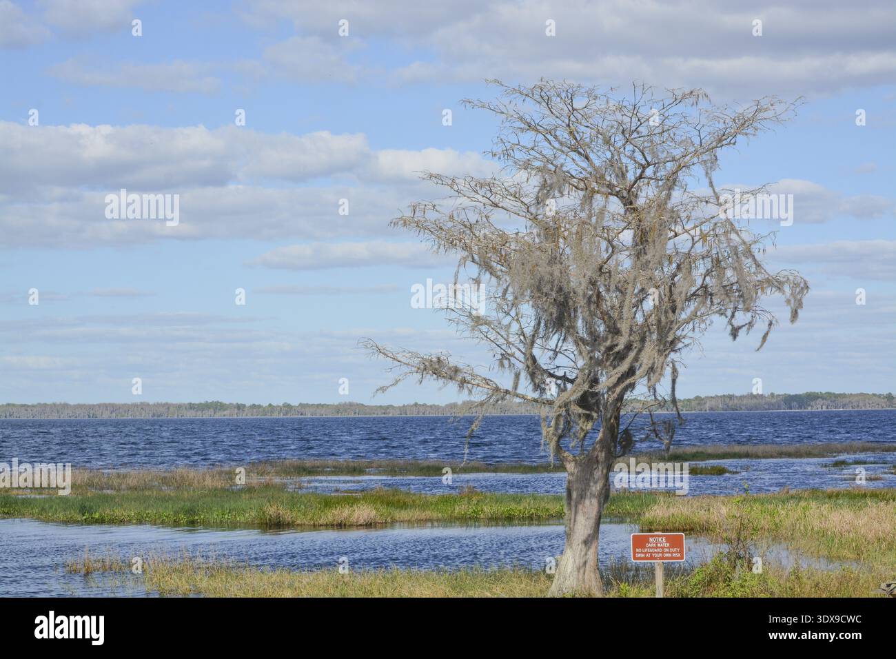 Schöne Aussicht auf Lake Louise in den Feuchtgebieten von Clermont, Lake County, Florida Stockfoto