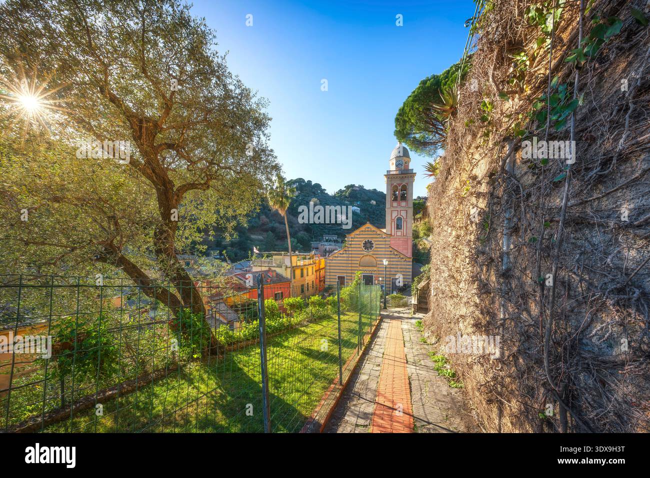 Malerischer Blick auf den Pfad Passeggiata dei Baci, Spaziergang von Kisses, zum Dorf Portofino. Alte Olivenbäume, Wanderweg und die Kirche San Martino, Ligur Stockfoto