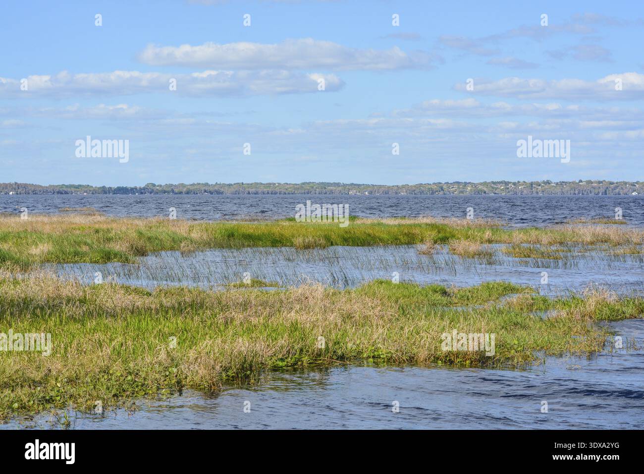 Schöne Aussicht auf Lake Louise in den Feuchtgebieten von Clermont, Lake County, Florida Stockfoto