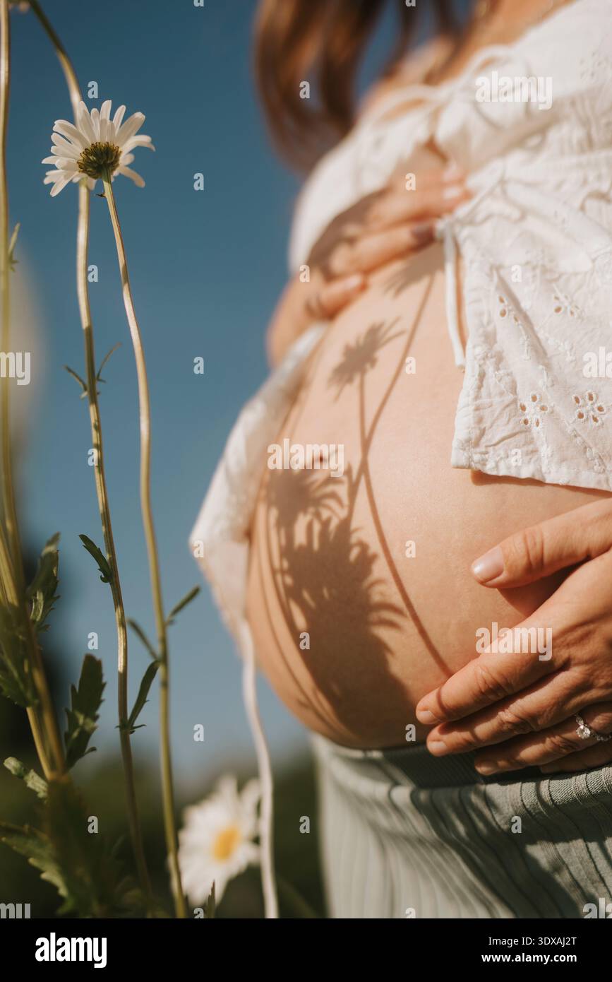 Mittelteil einer schwangeren Frau, die den Bauch berührt, während sie auf dem Feld steht Stockfoto