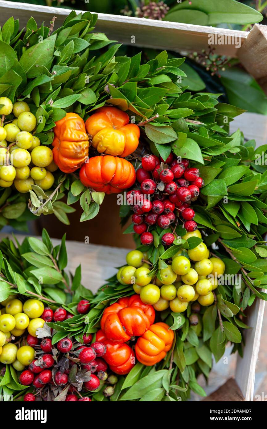 Direkt über dem Schuss von frischem Bauerngemüse in Kiste Stockfoto