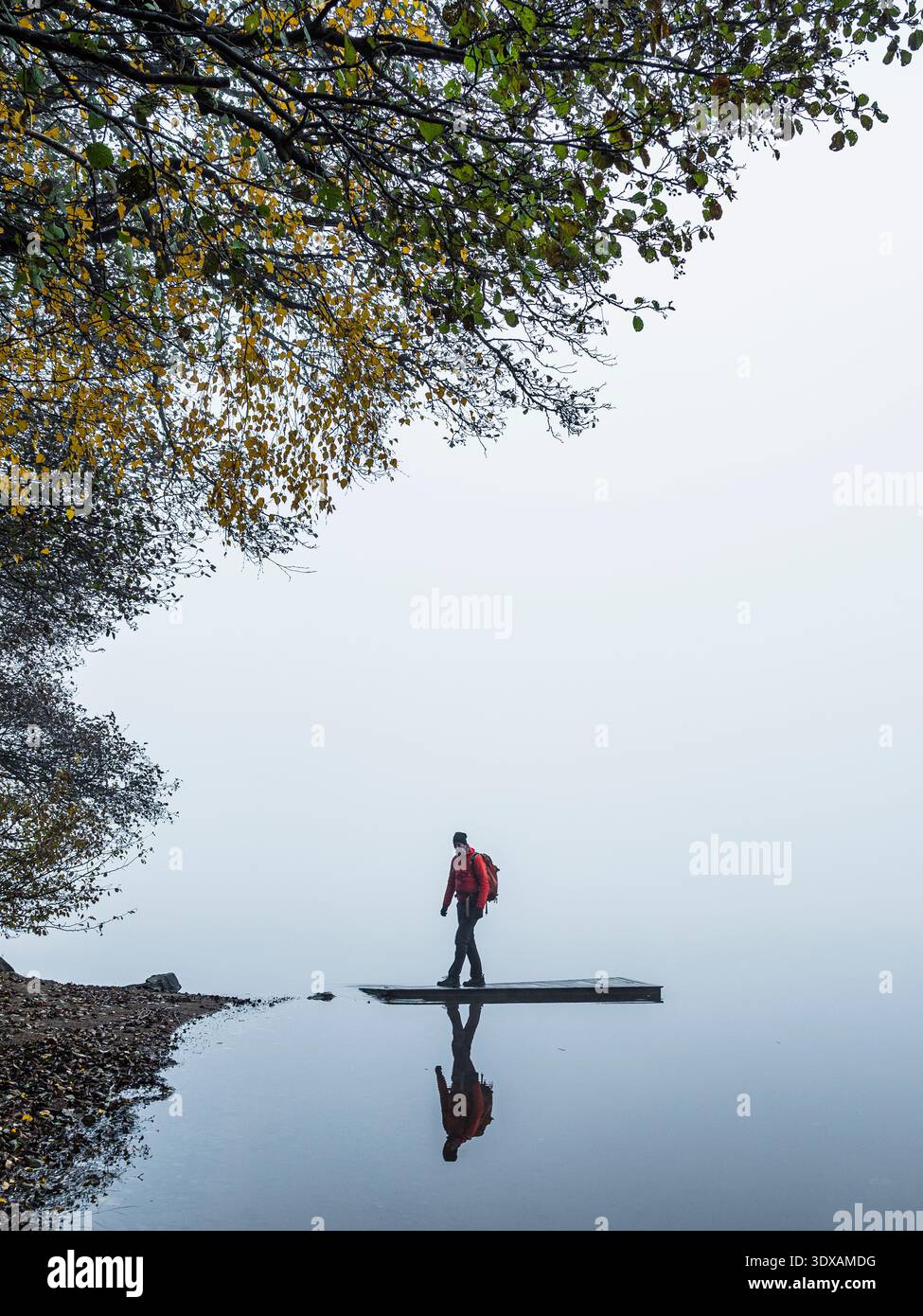 Mann, der auf dem Steg am See läuft Stockfoto