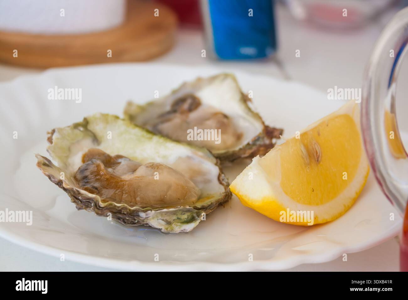 Zwei frische Austern auf einem weißen Teller mit einer Scheibe Zitrone. Stockfoto