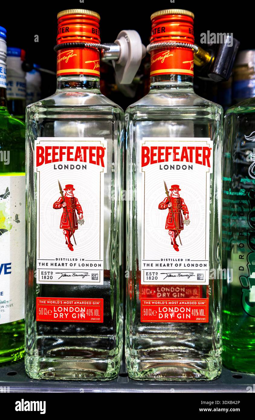 Sankt Petersburg, Russland - 14. September 2025: Beefeater Gin in einer Glasflasche im Regal eines Liqour Stores. Starke alkoholische Getränke. Stockfoto