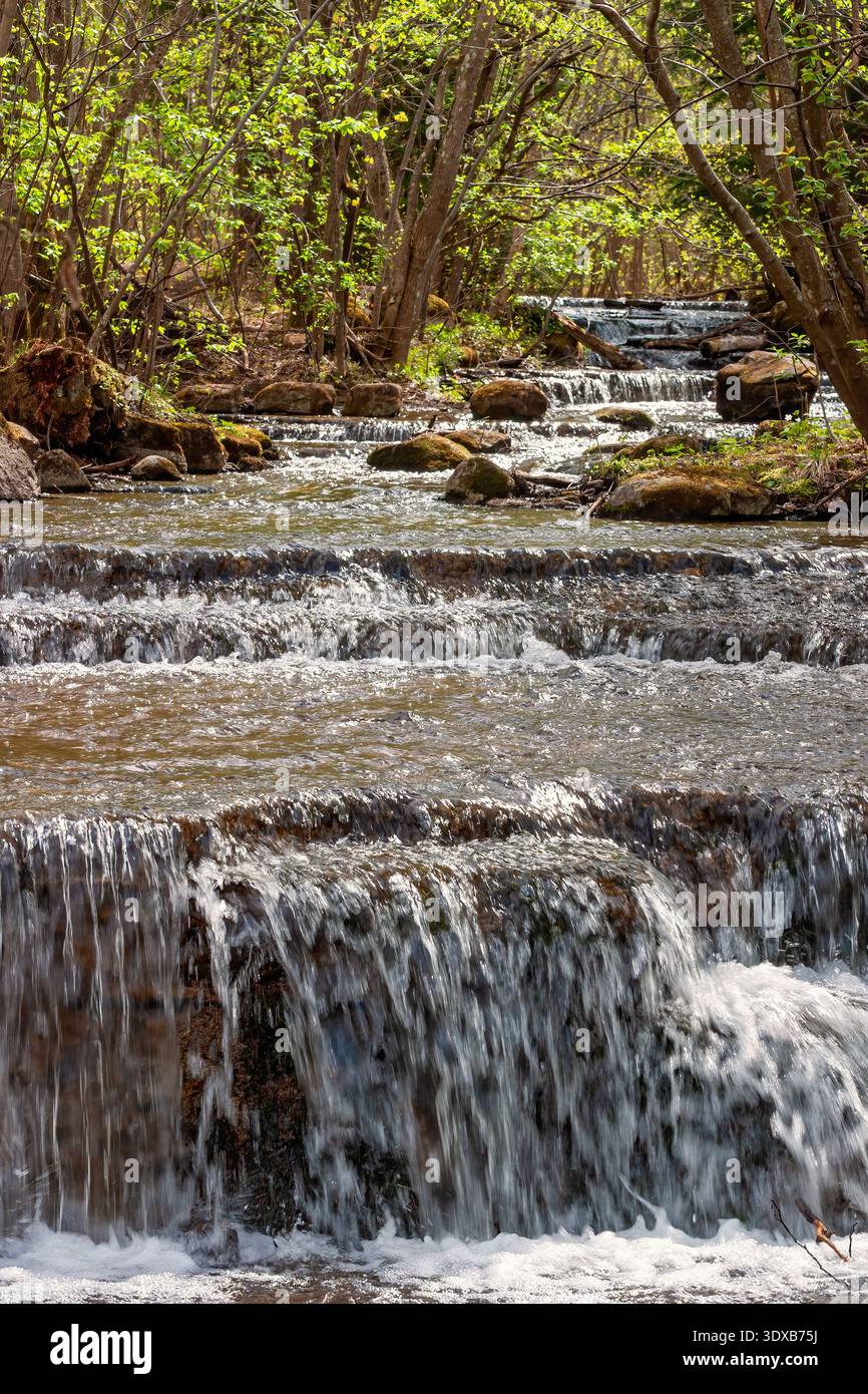 Waldbach Wasserfall, der über Felsen in einem üppigen Frühlingswald fällt Stockfoto