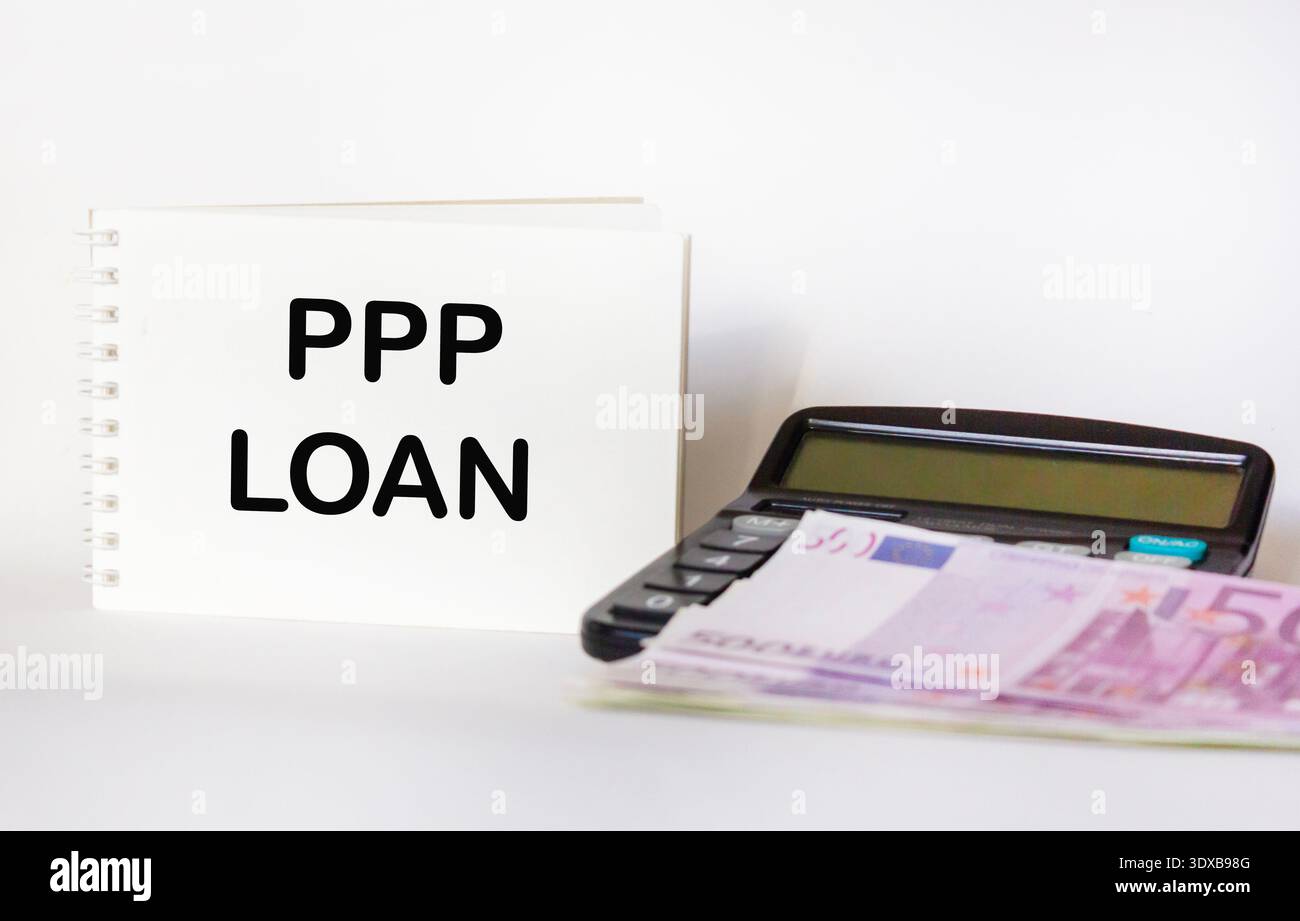 Die konzeptionellen Worte der ÖPP, Kredite im Rahmen des Gehaltsschutzprogramms auf Blöcken auf einem schönen Hintergrund von Euro-Banknoten Stockfoto