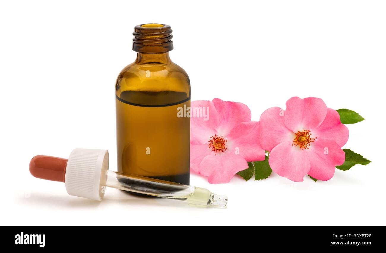 Hagebuttenöl in Glastropfflasche. Natürliches pflanzliches Hautpflegeserum reich an Vitaminen und Antioxidantien, Konzept der organischen Schönheit, Aromatherapie und pla Stockfoto
