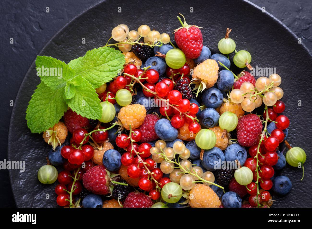 Die Deckenzusammensetzung von verschiedenen Waldbeeren in Keramikplatten. Rote und weiße Johannisbeeren, Heidelbeeren, Himbeeren, Stachelbeeren, frische Bio-Ernte Stockfoto
