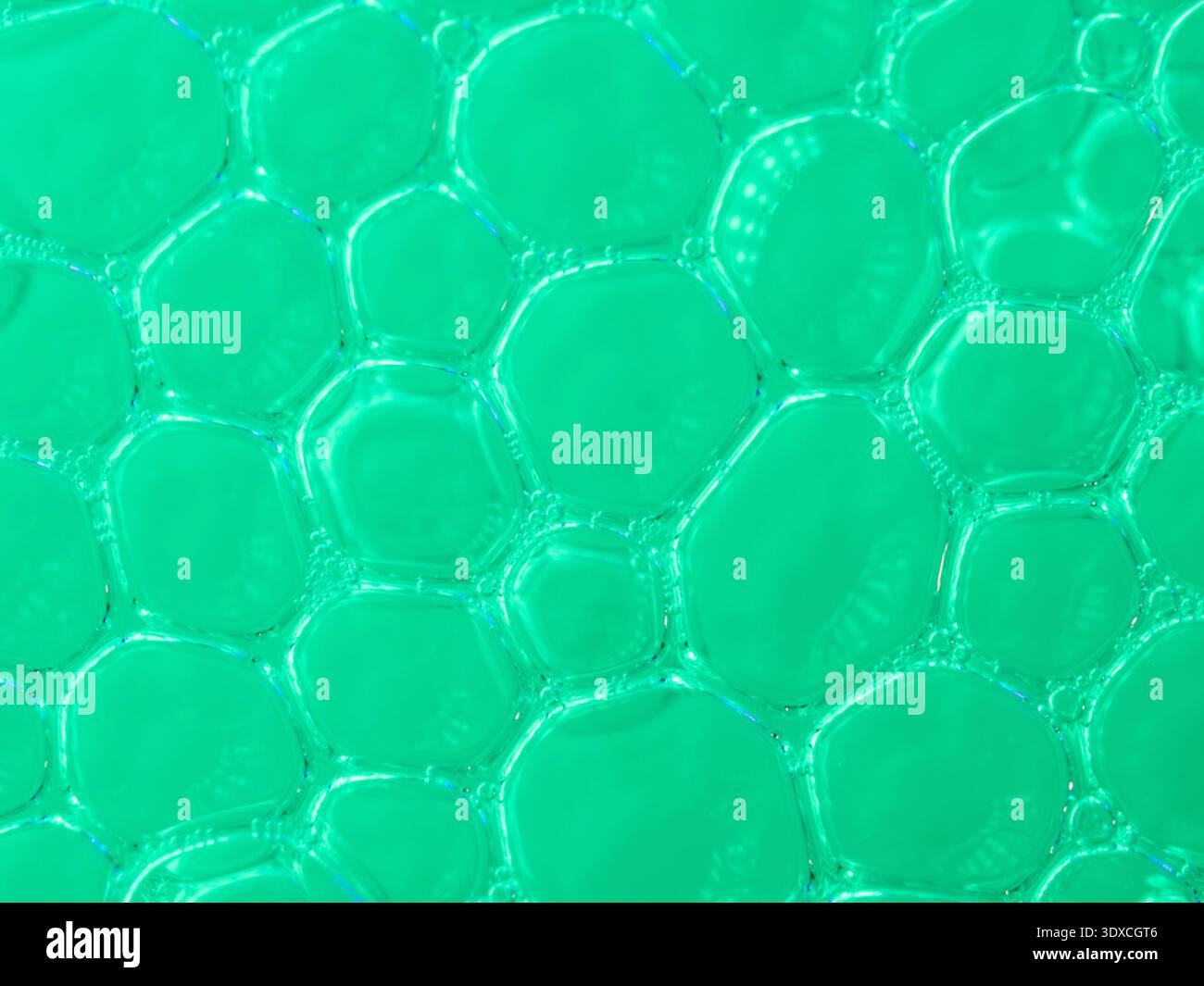 Leuchtende grüne Zellen leuchten vor wissenschaftlichen Staunen Stockfoto