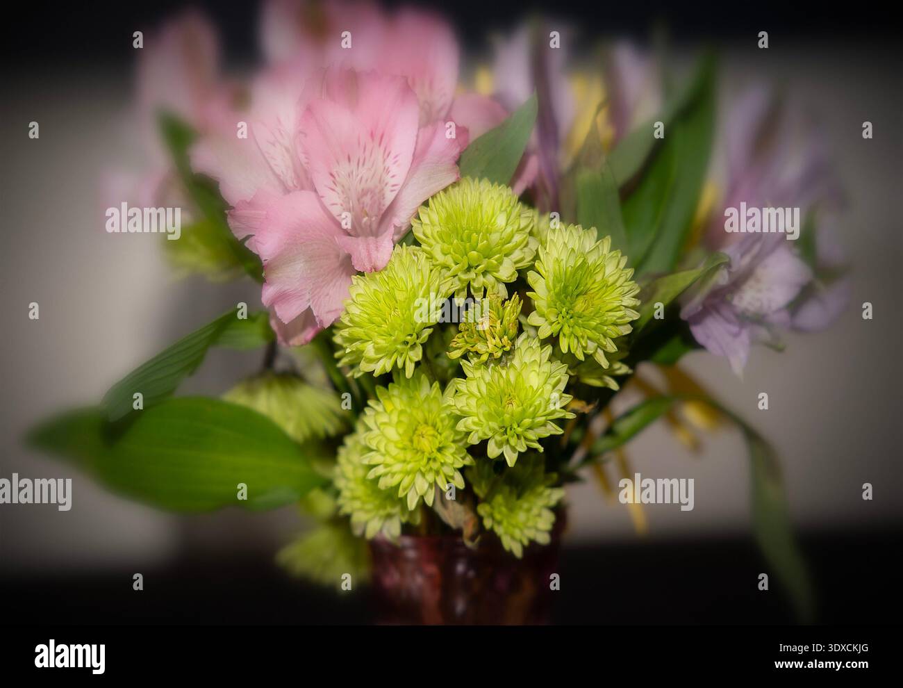 Ein Blumenarrangement mit grünen Chrysanthemen Stockfoto