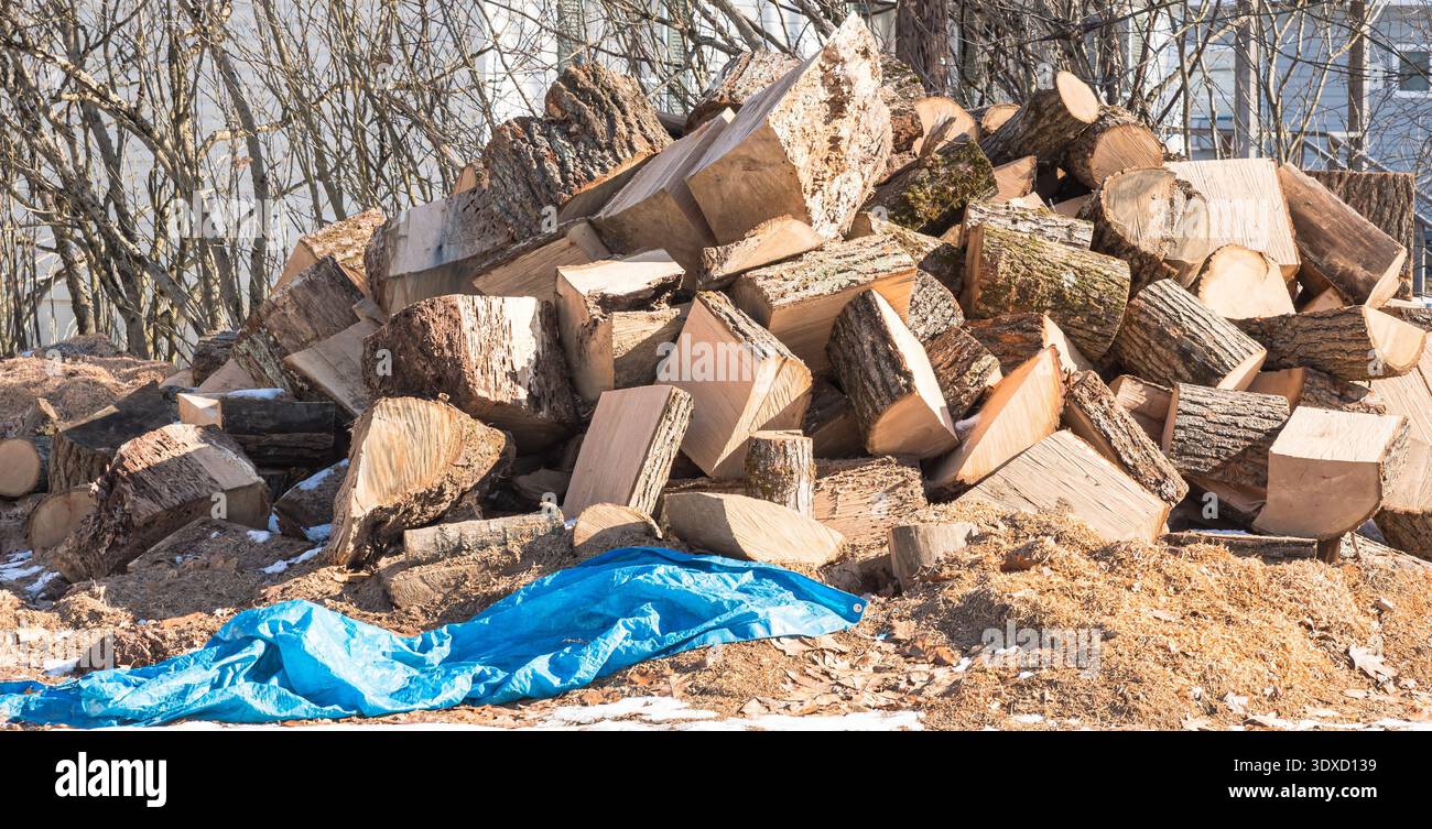 Großer Haufen frisch geschnittenes Brennholz im Freien mit Rinde und geschnittenen Oberflächen, sichtbar in Warren County, Pennsylvania, USA an einem sonnigen Wintertag Stockfoto