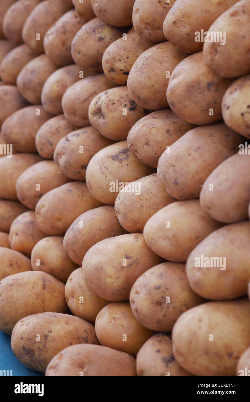 Kartoffeln bei Tageslicht auf dem Markt gestapelt Stockfoto