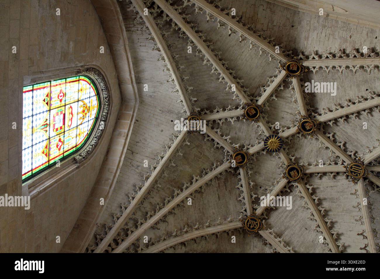 Aufwändige Decke der Kathedrale St. Maria von Burgos im Juli 2024 mit gerippten gotischen Gewölben, dekorativen Fresken und vergoldeten Akzenten Stockfoto