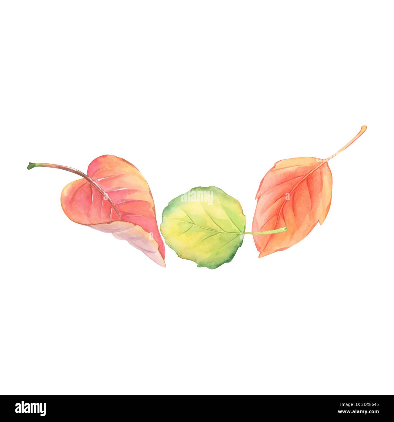 Herbstlaub. Einstellen. Gelb und rot. Aquarell. Stockfoto