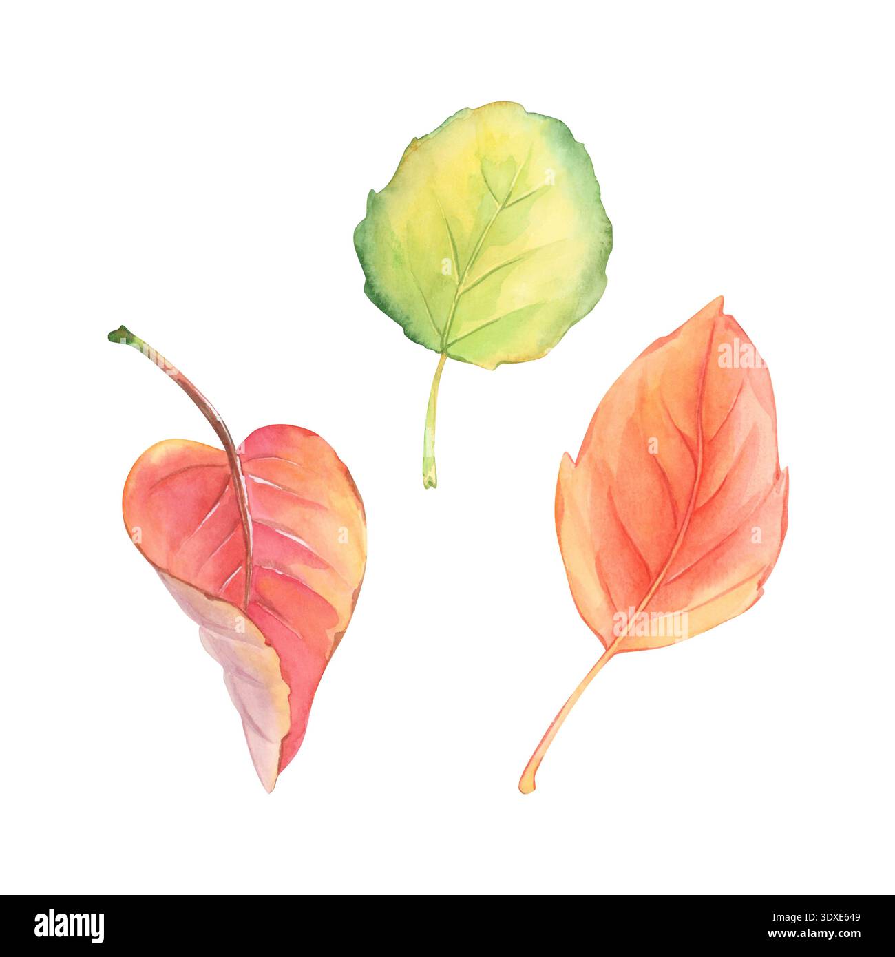 Herbstlaub. Einstellen. Gelb und rot. Aquarell. Stockfoto