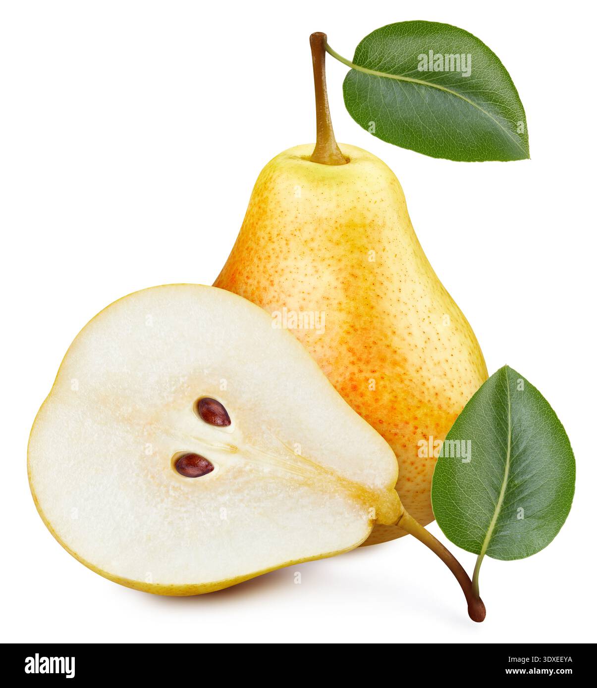 Birnenfrucht mit Blättern Isolat. Gelbe Birne auf weiß. Pear Beschneidungspfad. Stockfoto