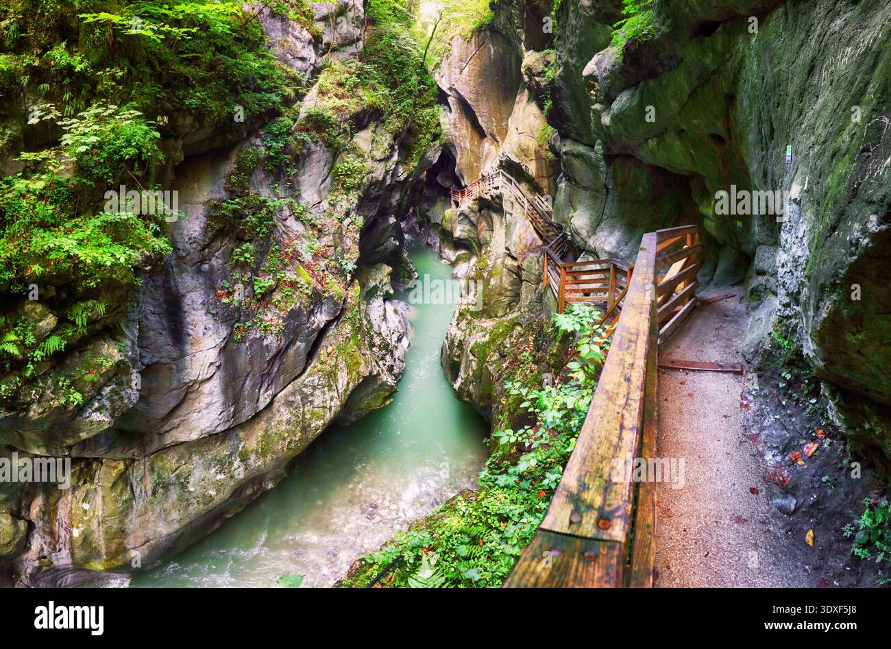 Lammerklamm im Salzkammergut in Oberösterreich. Blauer Alpenfluss zwischen schmalen Felsklippen mit grüner Vegetation und Bäumen bedeckt. Sch Stockfoto