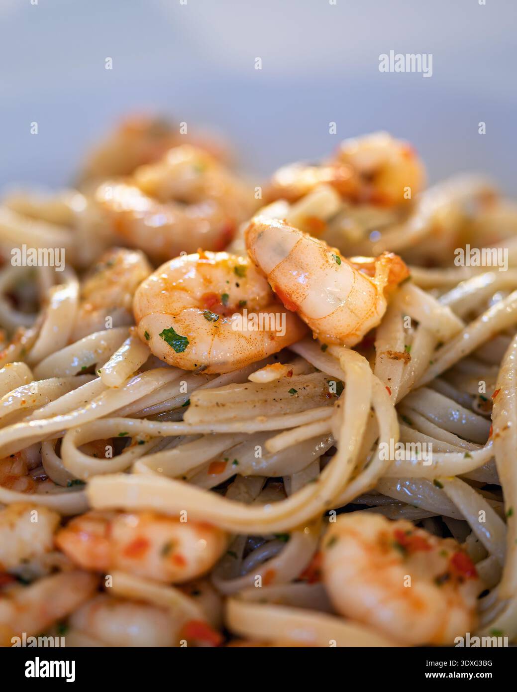 Nahaufnahme von Linguine-Pasta mit gekochten Garnelen und Kräutern, serviert auf einem weißen Teller. Das Bild wird in vertikaler Ausrichtung fotografiert. Stockfoto