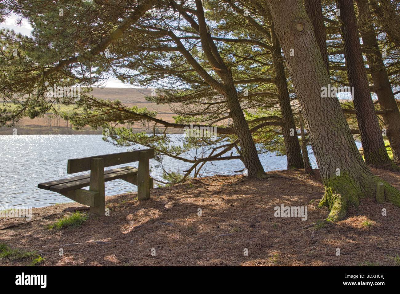 Wooden Park Bank mit Blick auf das Baitings Reservoir, West Yorkshire, Großbritannien Stockfoto