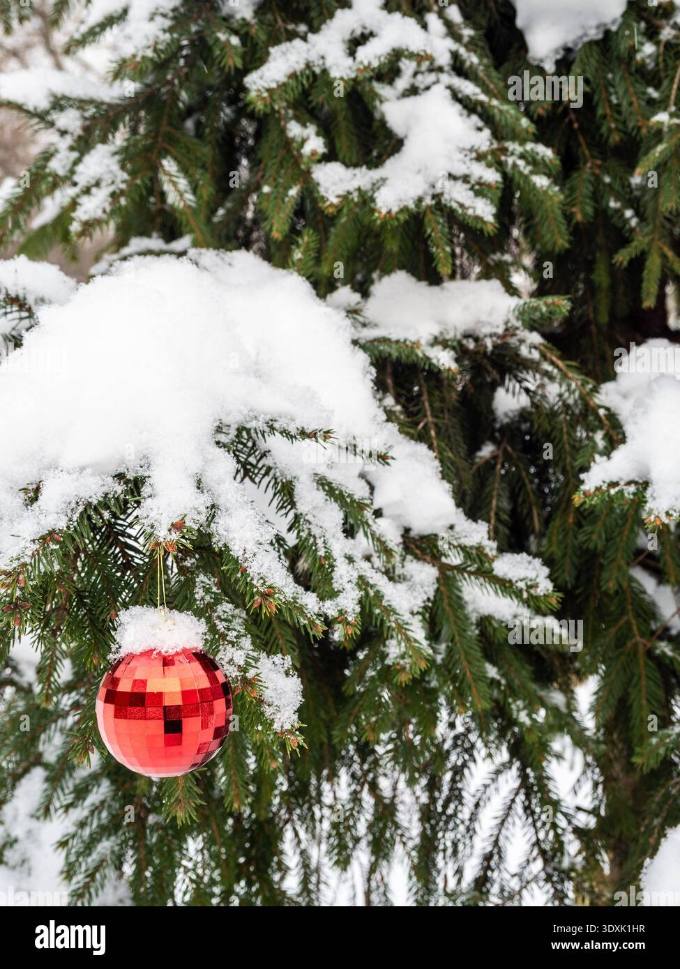 Rote weihnachtskugel auf schneebedeckter Tanne im Stadtpark im Freien am Wintertag Stockfoto