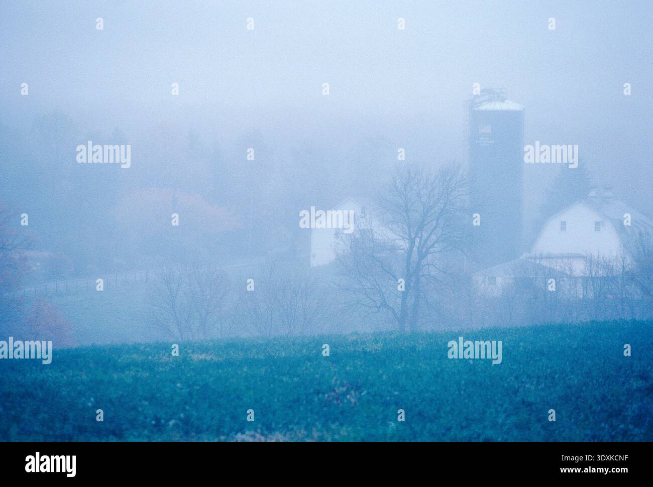 Nebliger, nebeliger Winterblick auf Scheunen und Farm; Pennsylvanbia; USA Stockfoto