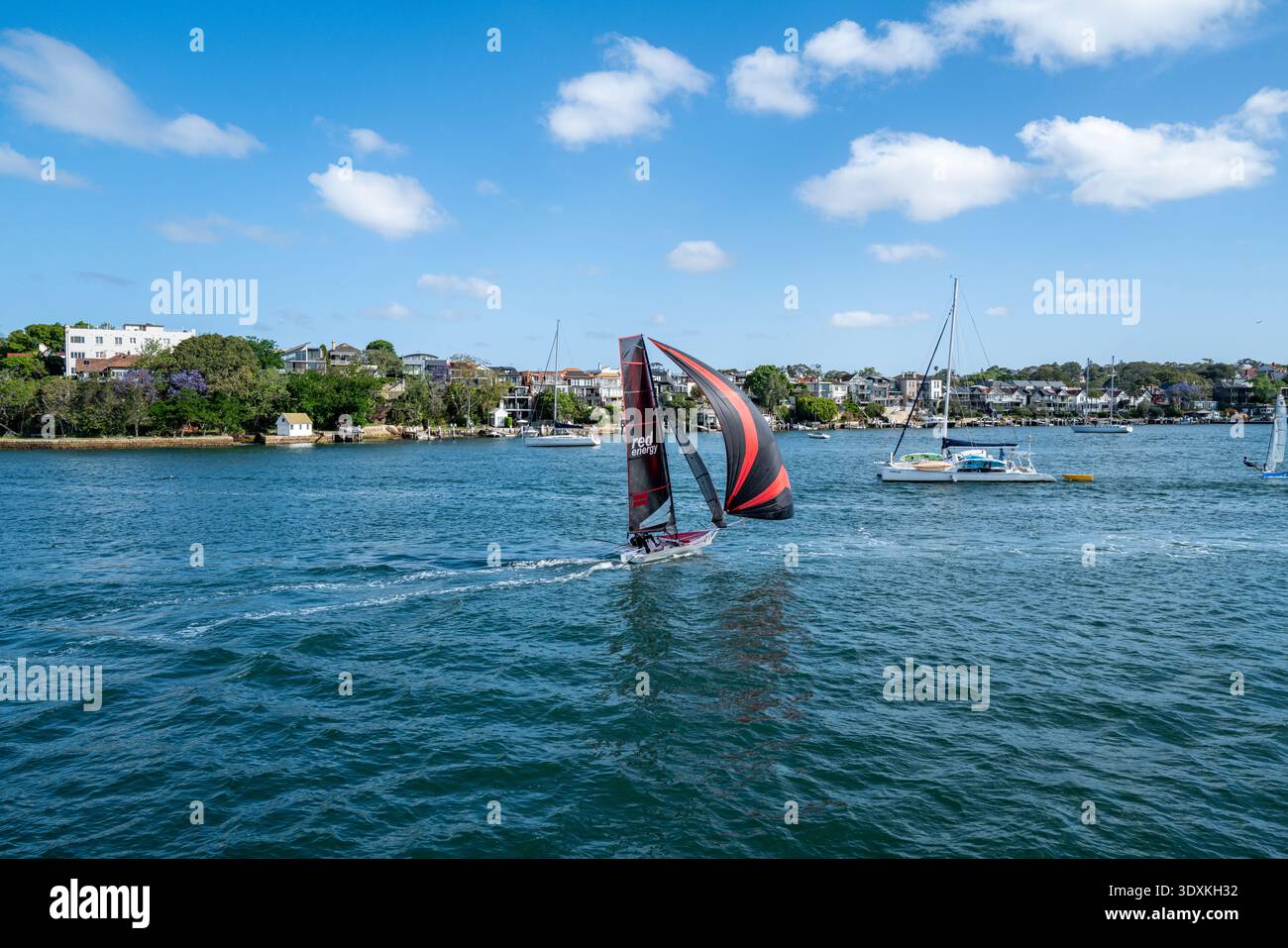 Ein Segelboot der Marke Red Energy im Hafen von Sydney mit der Wohnküste im Hintergrund. Stockfoto